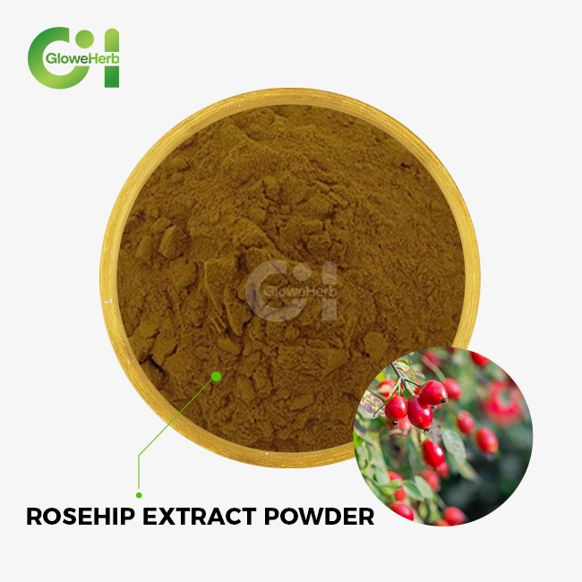 rosehip extract powder